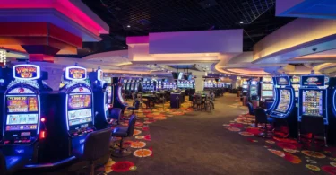 bdg win a complete guide to features, usage, benefits, and user experience